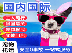 洛阳北郊机场物流国际宠物托运 【国